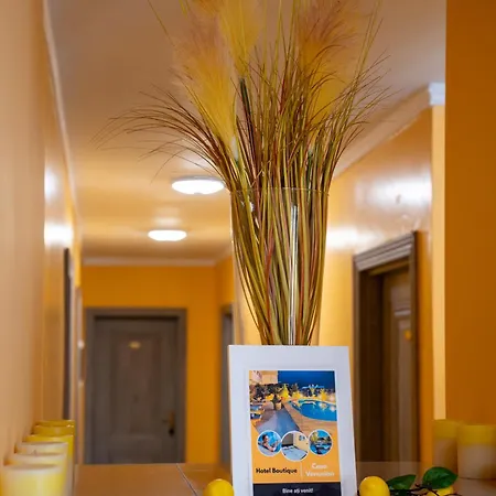 Hotel Boutique Casa Venusian Venus